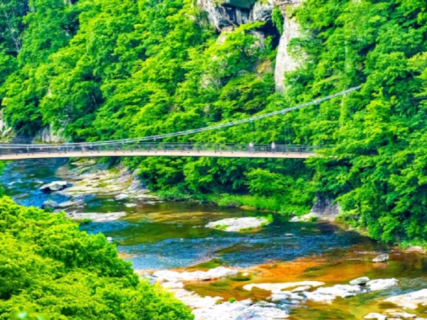 制度・環境・文化