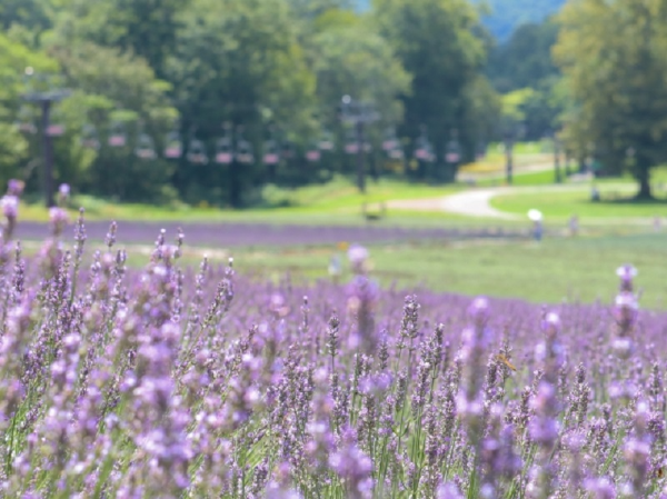 環境に配慮した輸送サービス