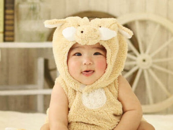 株式会社ごじょいる　代理店T&T