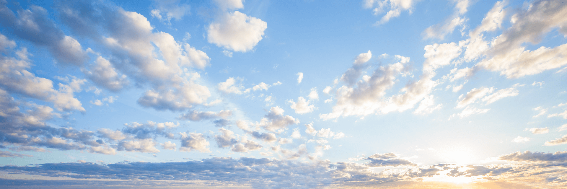 みちのく麺匠株式会社
