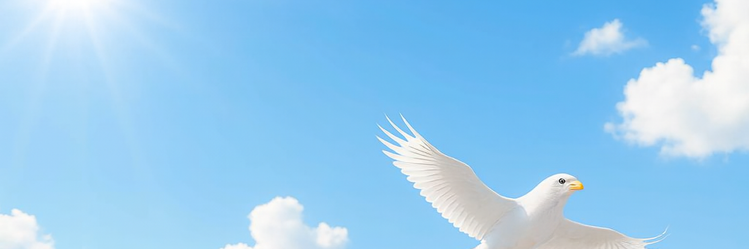 株式会社エール・ヴァンクール