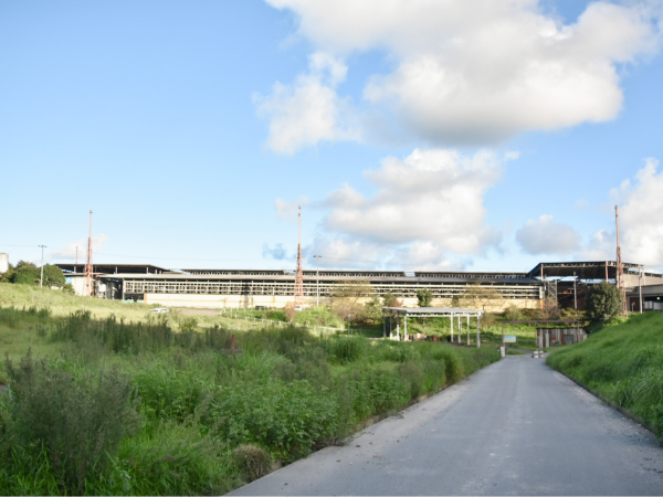 制度・環境・文化