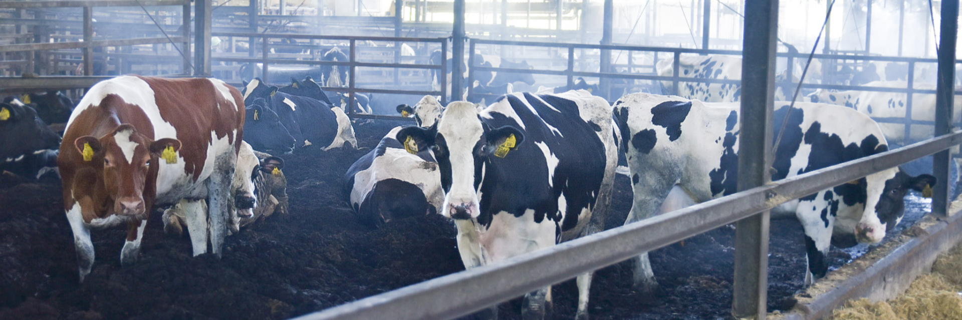 株式会社尾﨑畜産御浜ファーム