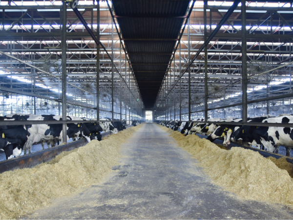 近畿地方最大級のメガファーム