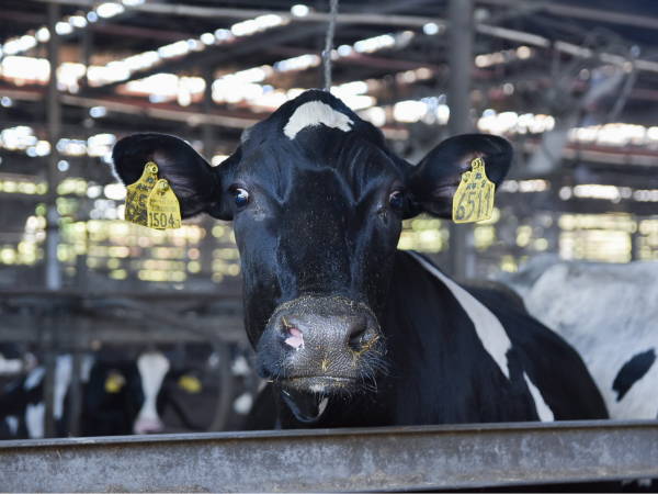 地元に根付く、馴染みのある商品をご提供