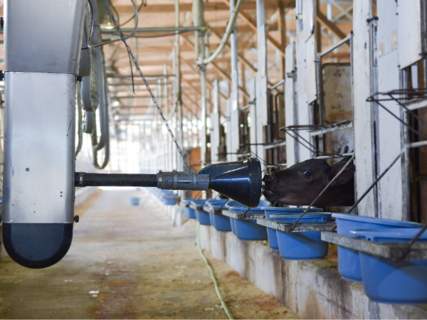 しっかり休んで、しっかり働く