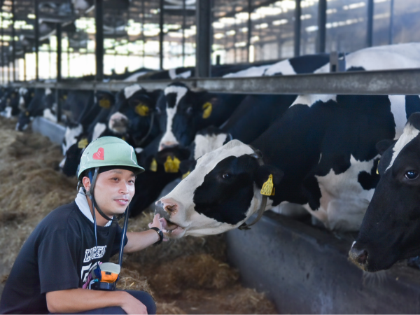 働きやすさの秘訣は「細分化」にあり