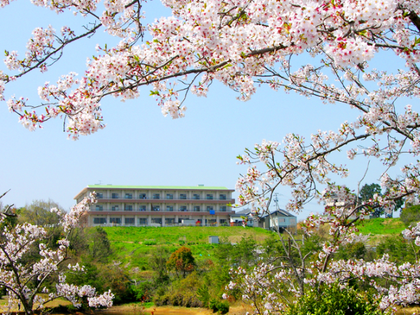 私たちについて