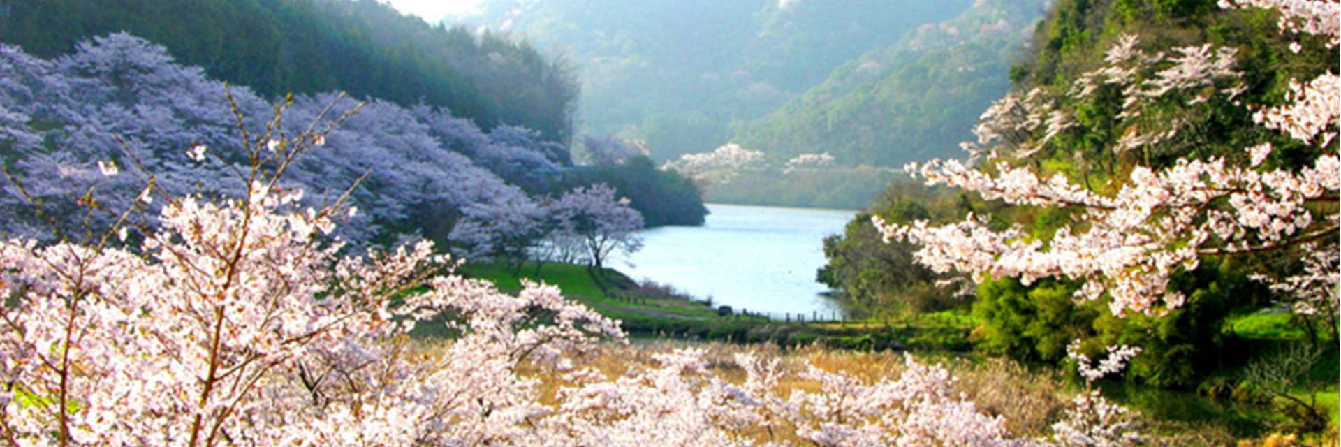 社会福祉法人明峰会