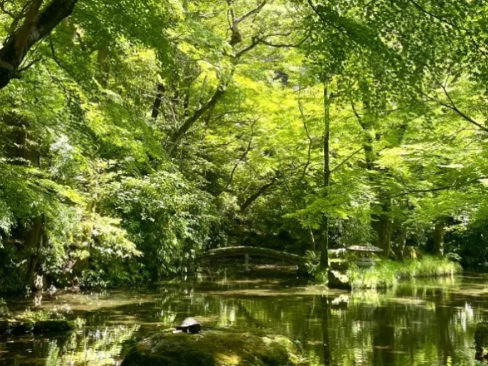 癒しを求めて（幾田）-2024年05月13日 (月)公開分-