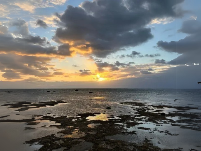 そろそろ「あれ」の季節（森川）-2024年08月05日 (月)公開分-