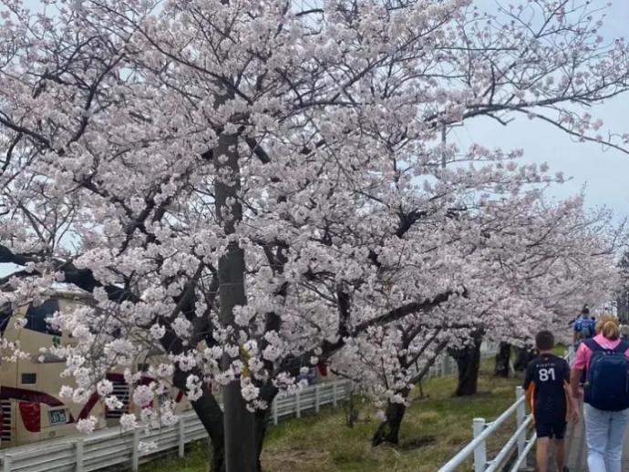 はじめまして（夏原）-2024年04月15日 (月)公開分-