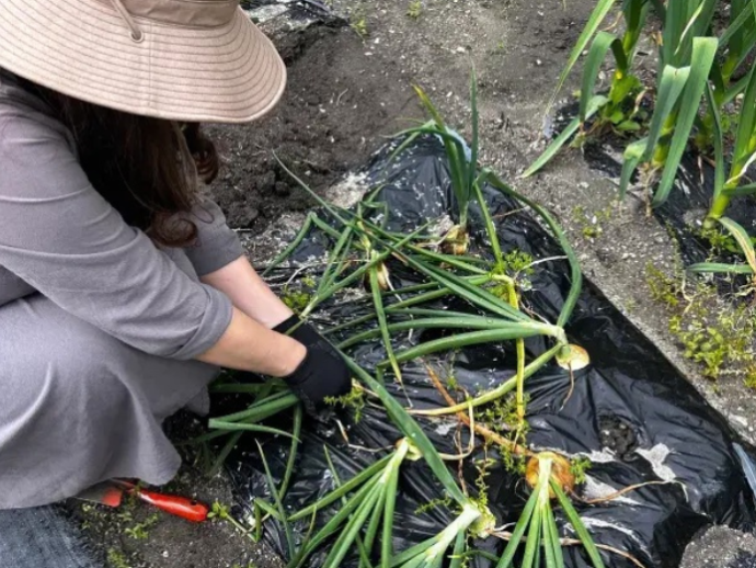 お久しぶりです（宮下）-2024年04月30日 (火)公開分-