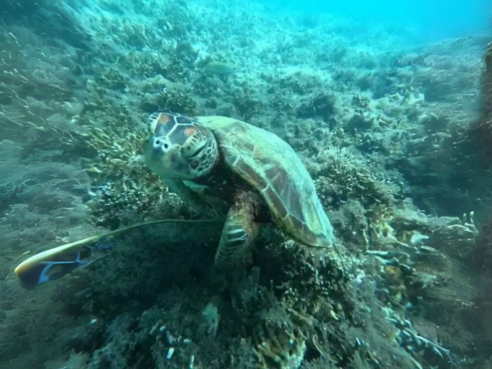 社員旅行！！（谷村）-2024年10月17日 (木)公開分-