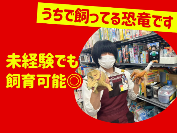 好きなものに囲まれて、好きな自分のままで働こう。【履歴書不要】