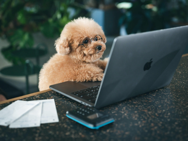 20代・30代・40代の男性・女性がともに活躍中です在宅勤務もあり！ソリッドワークスによる電子回路設計の経験があればOK！