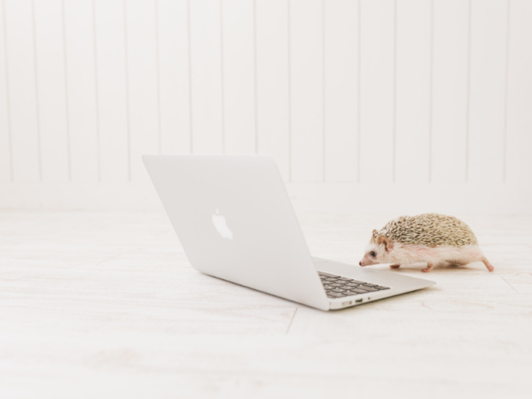 資格や経験不問！20代・30代・40代の男性・女性がともに活躍中の職場です。台湾、韓国、中国、シンガポールなどの海外出張があるけど、チームに専属の通訳が付くので英語が出来なくても応募可能です！ワールドワイドに活躍したい！というエネルギッシュなあなたにおススメ。