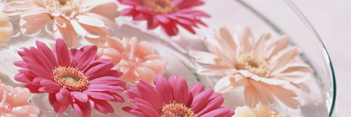 アルファクラブ株式会社