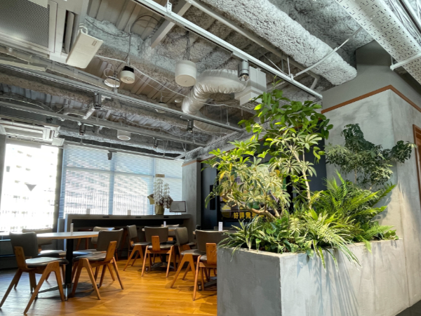 【札幌：経理】経理・財務業務を担当するチーフ候補を募集します！/IPO準備中/年間休日125日/土日祝休み/賞与あり/フルリモート可