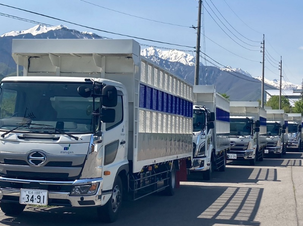 制度・環境・文化