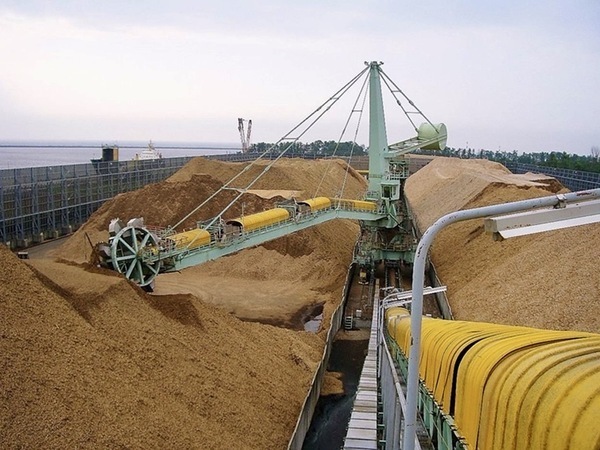 ○●事業内容●○