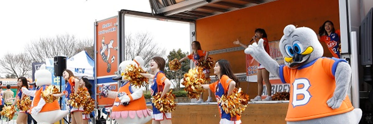 新潟流通運輸有限会社