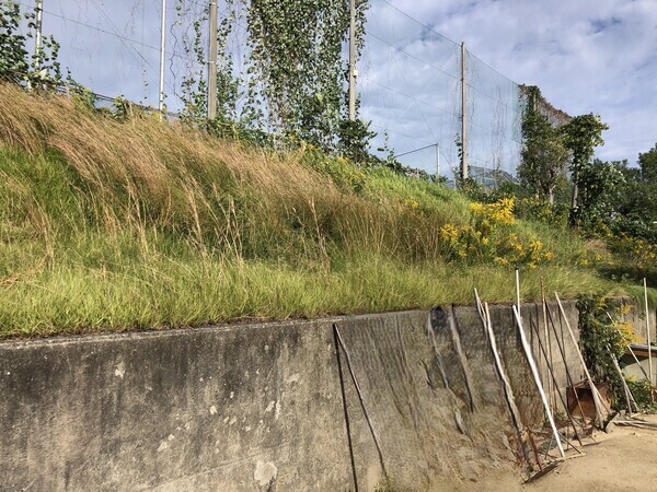 生い茂っている雑草を
ここから綺麗にしていきます！