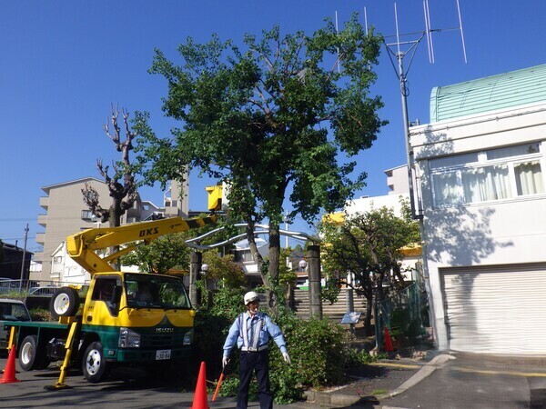 時には重機も使います。
運転免許は入社後に取得可能です！