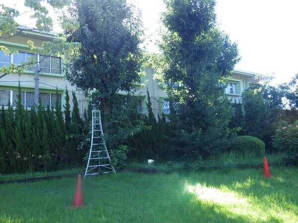 全員で作業にあたり
完璧な現場を目指します！