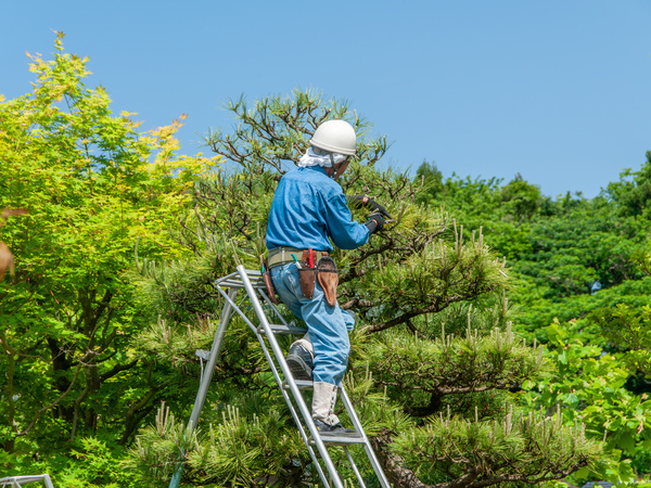 個人住宅、公共工事など
様々な現場で活躍しています！