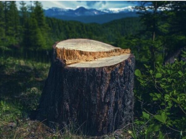 見た目の規定なし！安全第一を守れればOK！