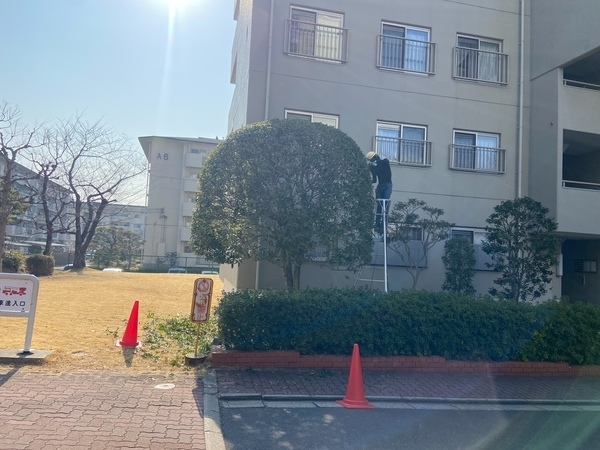 <正社員/造園業職人>◆未経験大歓迎!◆ブランクありも問題なし!◆残業ほぼなし◆賞与年2回アリ!◆資格取得も応援・資格手当アリ◆独立を考える方にもピッタリ◆服装も髪型も完全自由!◆平日・土曜休みも相談OK!◆車・バイク通勤もOKで通いやすい!