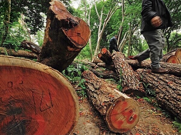 仕事の醍醐味は、達成感とやりがい。