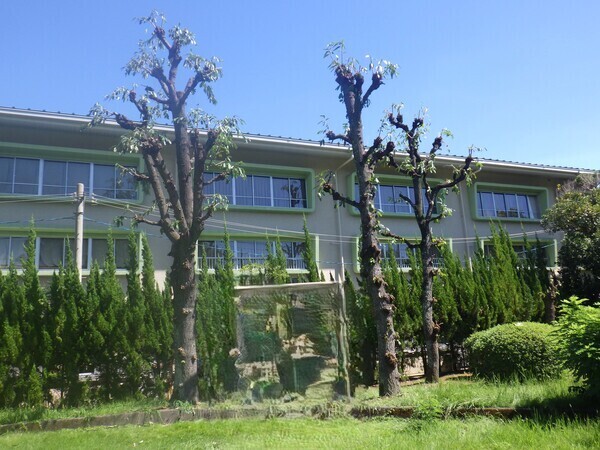 余計な葉がなくなり
見た目もスッキリとしました。