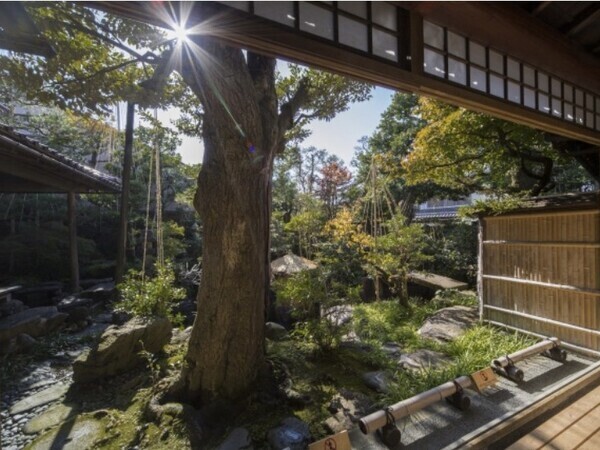 自然相手の仕事だからこそ、チームワークが大切。