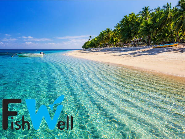 【すし屋眞吉 新橋店】月8日休み！選べるシフトでライフワークバランス抜群！充実の福利厚生で働きやすさ抜群！