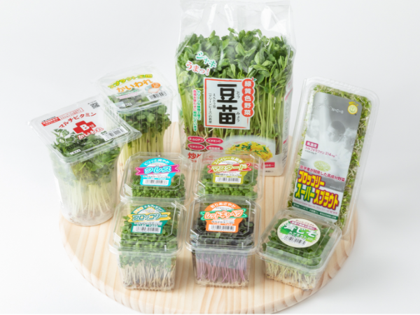 【当求人限定の公式動画と体験入社AIで採用率UP！】「食」に関する提案営業◆営業経験者採用◆転勤なし◆社長はリクルート出身◆2040年に売上1000億円を達成して世界一の施設野菜メーカーを目指す◆豆苗やブロッコリースーパースプラウト