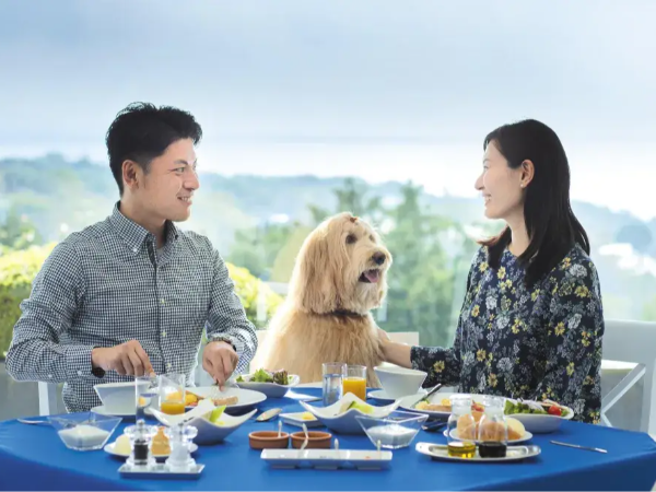 【洋食調理スタッフ募集】愛犬と過ごすリゾートホテルで“心に残る一皿”を届ける｜昇給・賞与あり／正社員｜Wan’s Resort城ヶ崎海岸