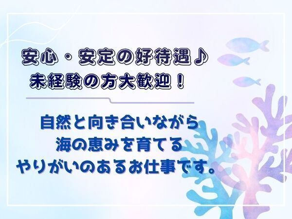 未経験からホタテ養殖漁師にチャレンジ！