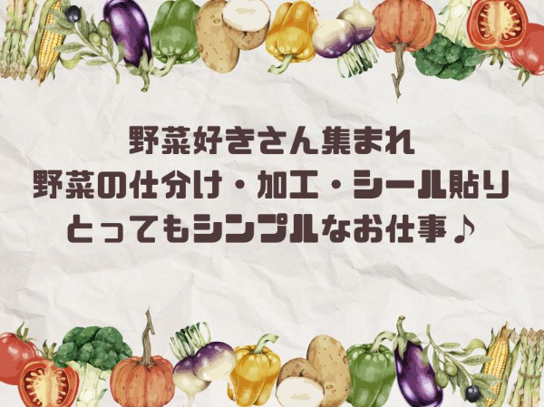 未経験歓迎！お休みの希望を出しやすい！野菜加工の軽作業