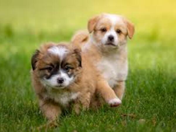 かわいい動物たちにも
癒されます♪