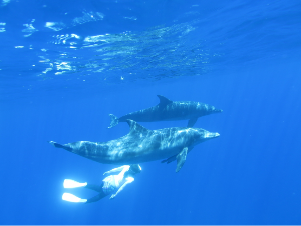 道路をつくる。 未来をつくる。