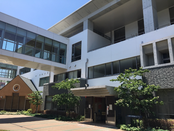 地域包括支援センターの主任介護支援専門員(主任ケアマネジャー)