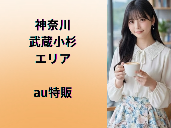 武蔵小杉エリアau特販スタッフ	