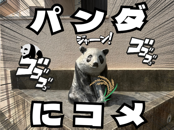 皆さんは、職場で自分用のお米を炊く新卒社員に、出会ったことはありますか...?
