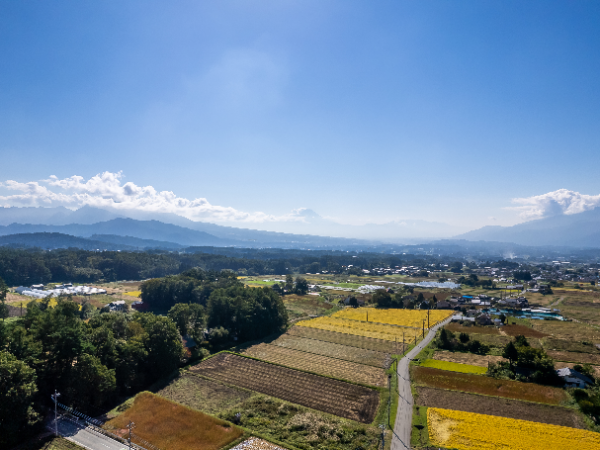 山梨の豊かな自然と、花に囲まれる職場環境