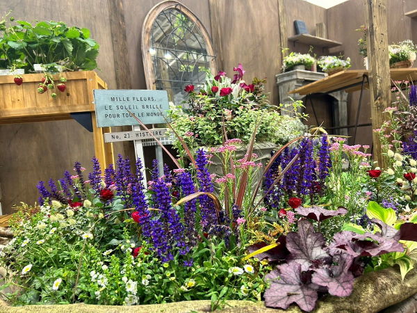 【山梨開催/タネから始まる食と美の最前線！】　ミヨシグループ体感プログラム