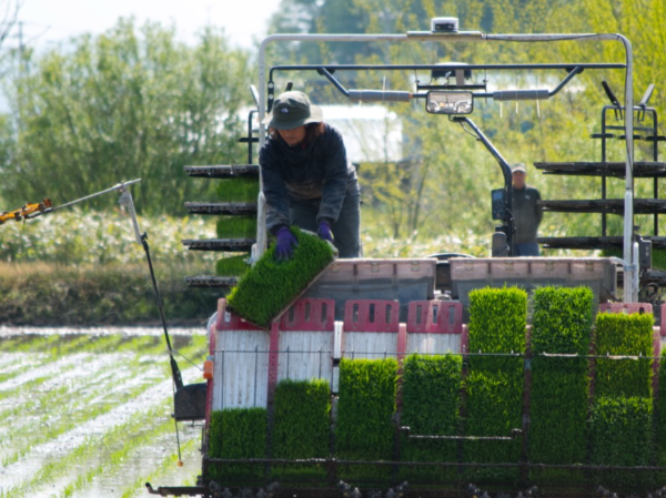 フードサプライチェーンの強化