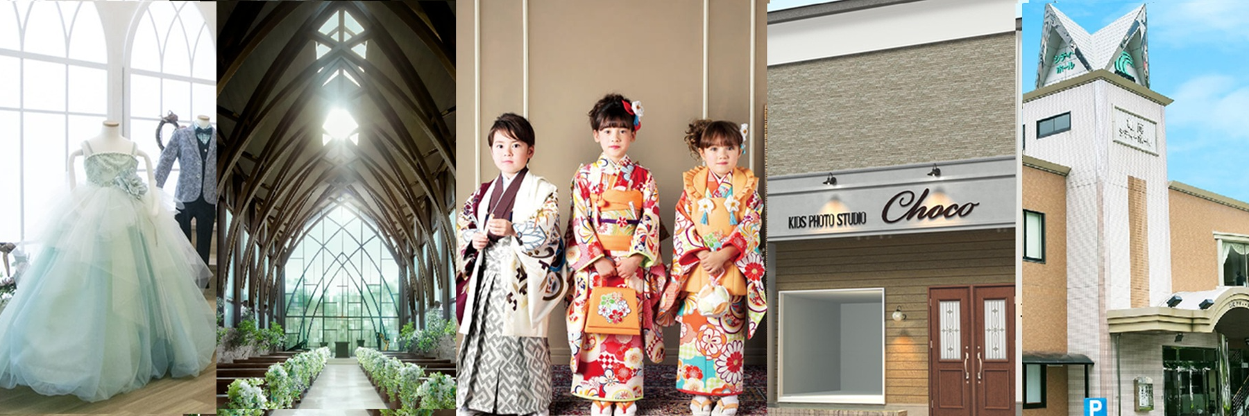 株式会社セレマ代理店