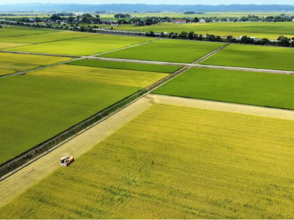 私たちについて